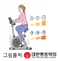 고정식